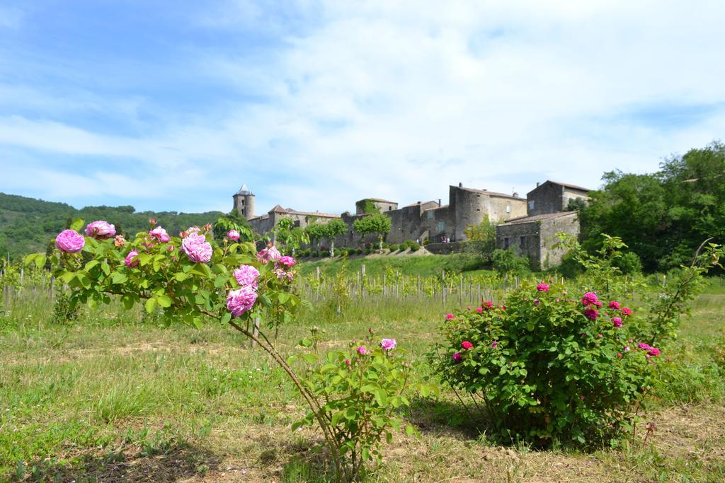 Chambres D'Hotes Domaine Du Hameau Baylesse Saint-Jean-d'Aigues-Vives Bagian luar foto