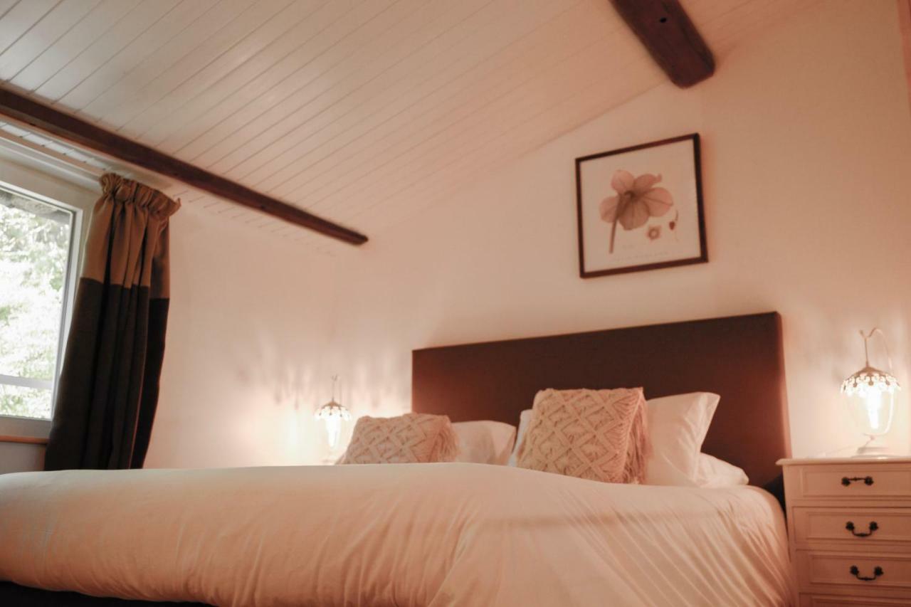 Chambres D'Hotes Domaine Du Hameau Baylesse Saint-Jean-d'Aigues-Vives Bagian luar foto